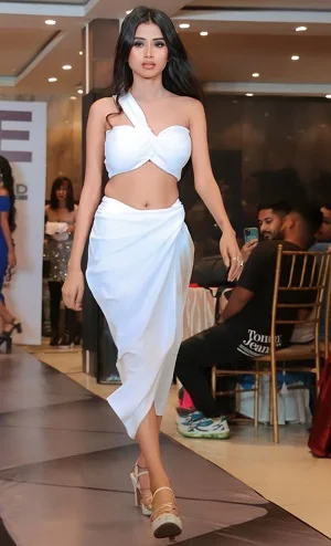 Noida Sector 62 escorts in hotel